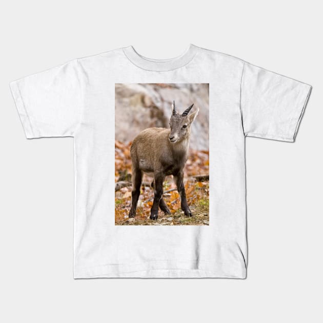 Baby Ibex Kids T-Shirt by jaydee1400